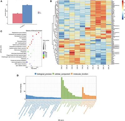Transcriptomics of circulating neutrophils in dairy cows with subclinical hypocalcemia